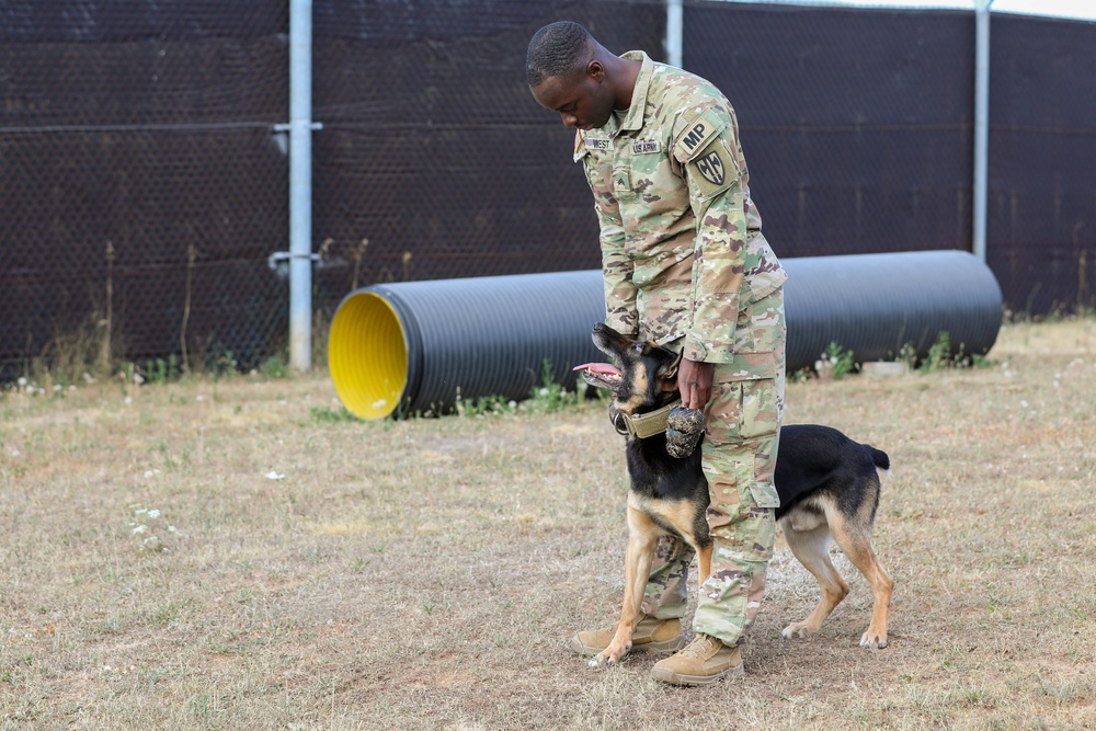 Military Working Dogs Essential For Mission Security