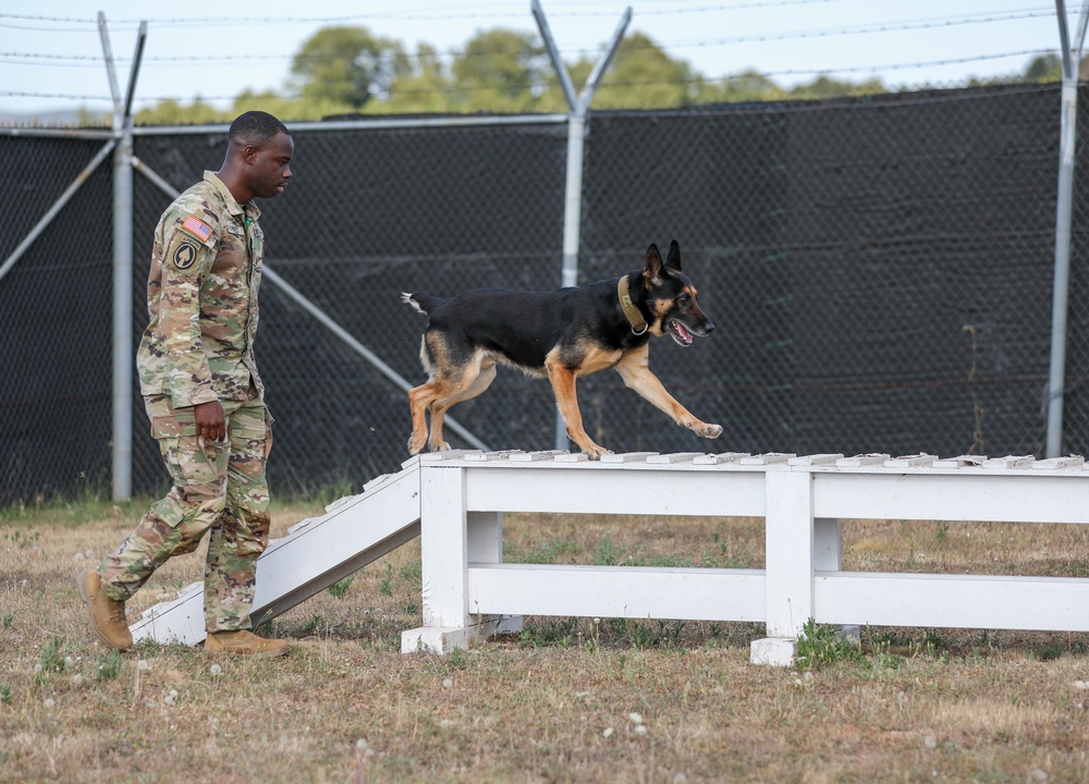 Military Working Dogs Essential For Mission Security