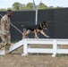Military Working Dogs Essential For Mission Security
