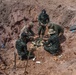 Cobra Gold 21: U.S., Royal Thai Armed Forces conduct landmine disposal exercise