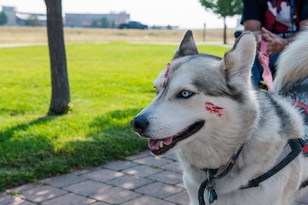 2021 Panther View Exercise