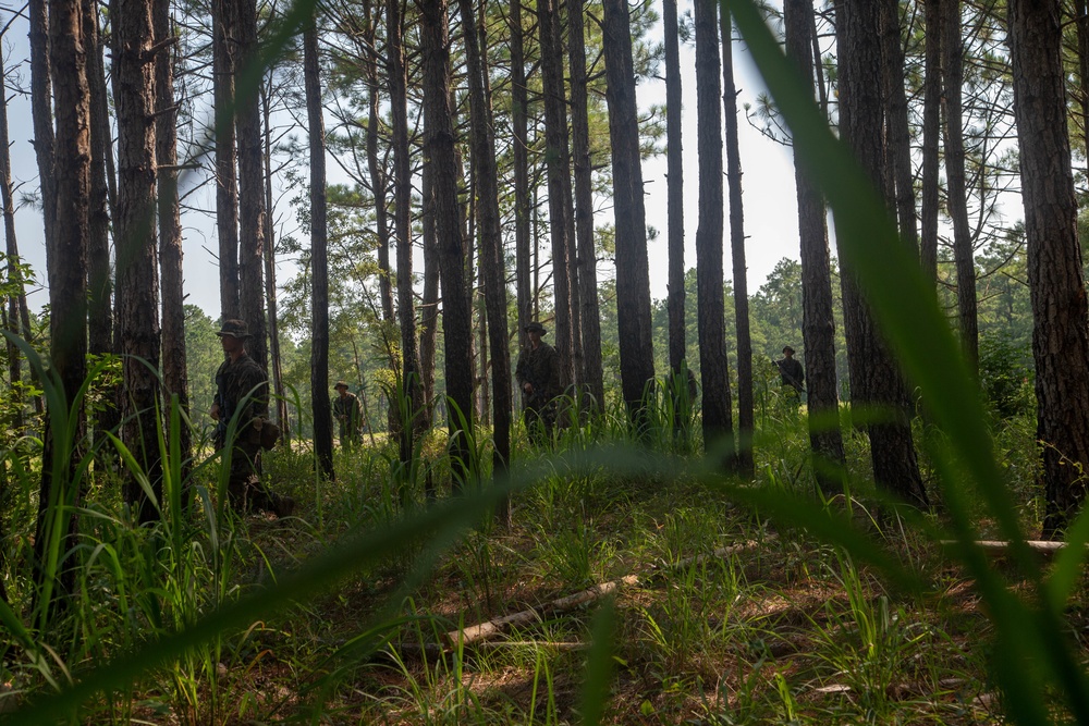 US Marine Corps implementing changes to Infantry Marine Course