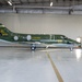 86th FTS Heritage Tail unveiling