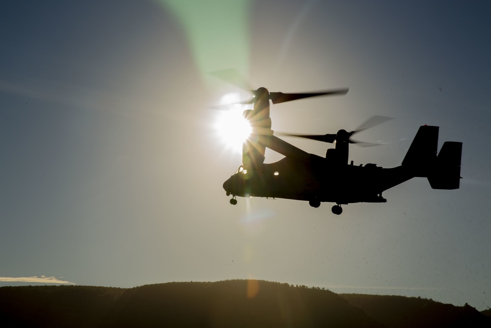 3d Marine Division conducts an air assault during LSE21