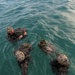 Marines conduct Special Patrol Insertion and Extraction Rigging Training