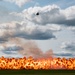 Independence Day — Twilight, Fire, and Raptors