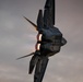 Independence Day — Twilight, Fire, and Raptors