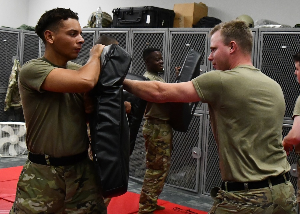 104th Security Forces Squadron trains in combatives