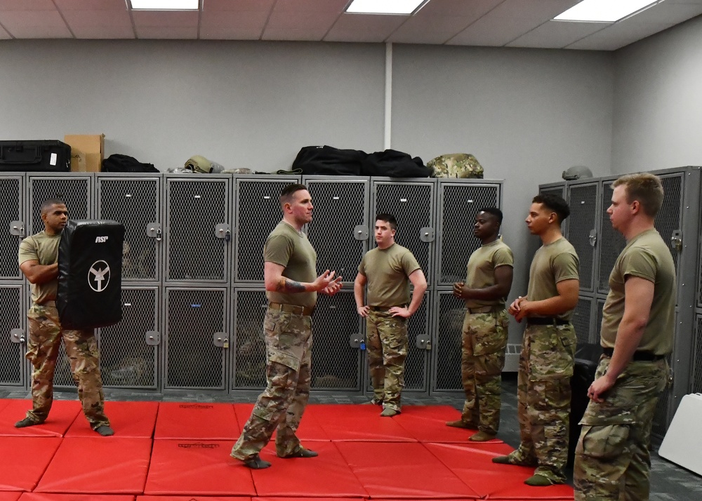 104th Security Forces Squadron trains in combatives