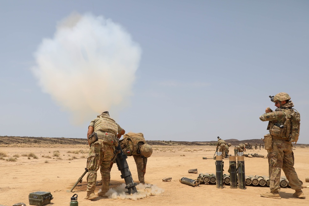 CJTF-HOA joint live-fire with 5e RIAOM