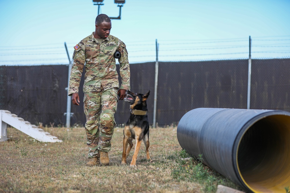 Military Police Train Military Working Dogs During Agility Course