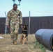 Military Police Train Military Working Dogs During Agility Course