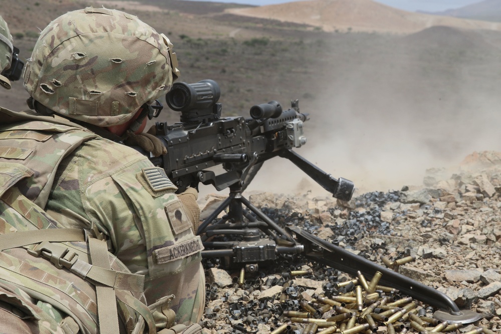 Task Force Iron Gray conducts joint combined arms live-fire with French forces