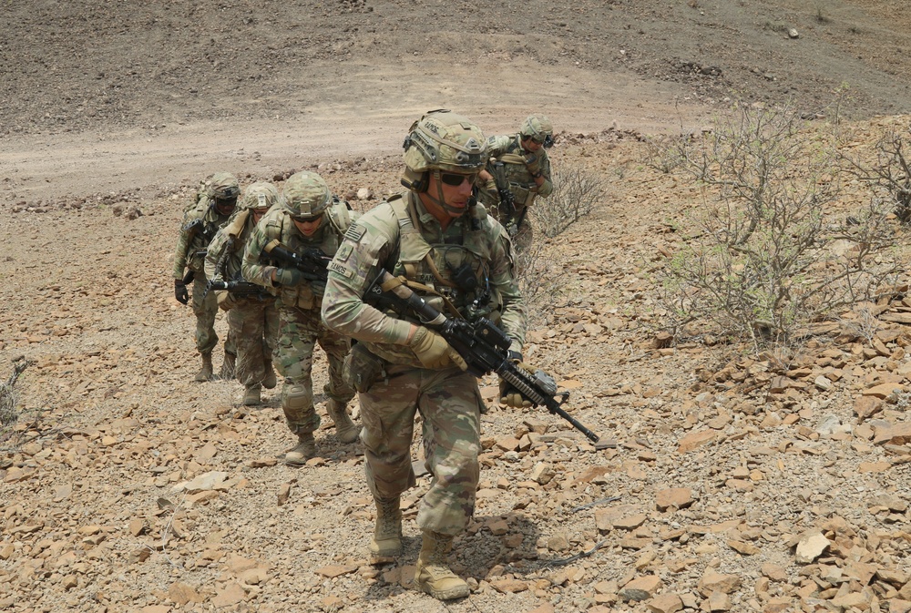 Task Force Iron Gray conducts joint combined arms live-fire with French forces