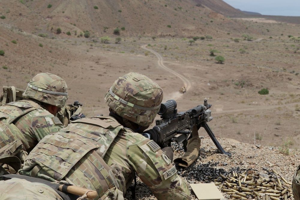 Task Force Iron Gray conducts joint combined arms live-fire with French forces