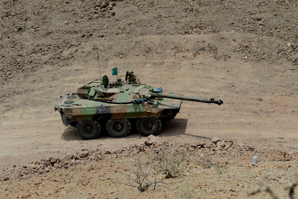 Task Force Iron Gray conducts joint combined arms live-fire with French forces