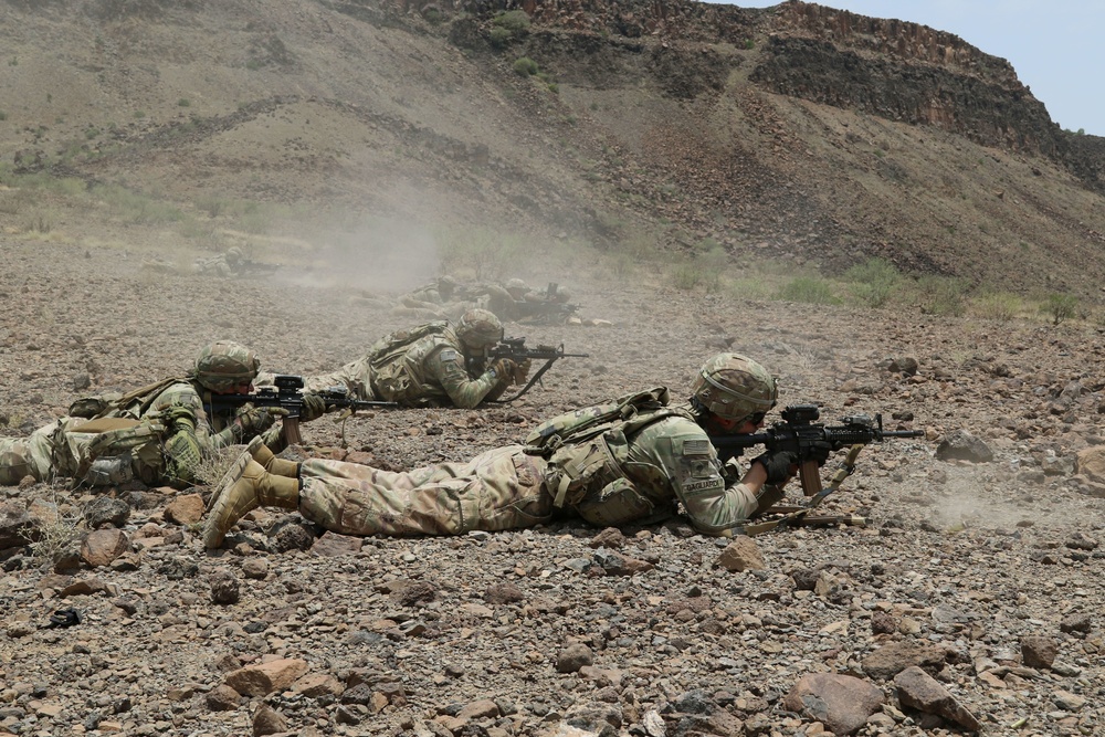 Task Force Iron Gray conducts joint combined arms live-fire with French forces