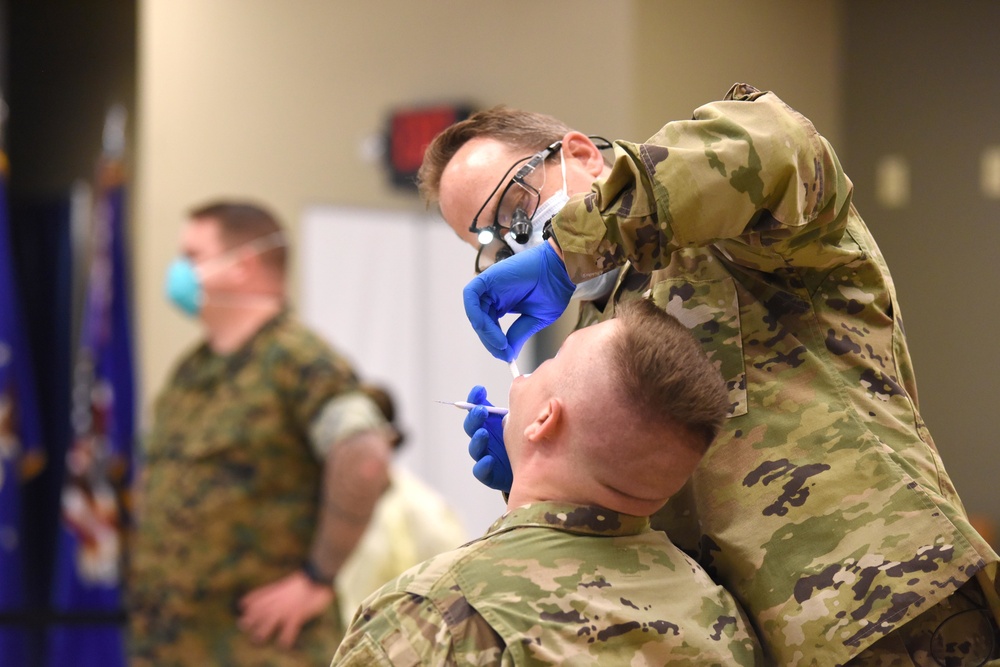 Michigan National Guard; U.S. Navy Reserve conduct joint dental clinic focusing on readiness and training