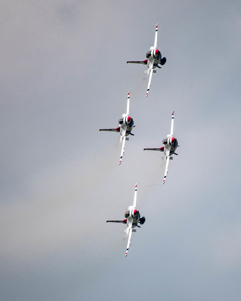 Thunderbirds Dazzle Thunder over Michigan