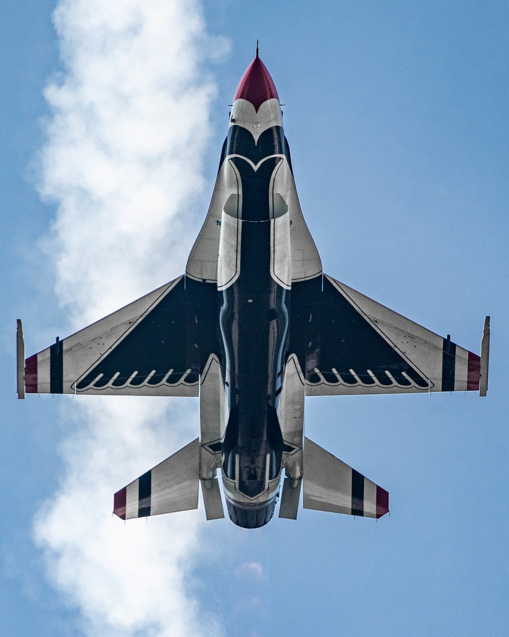 Thunderbirds Dazzle Thunder over Michigan