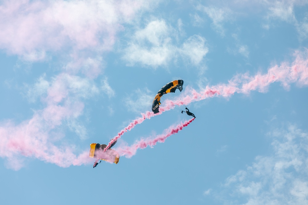 Parachutists from U.S. Army Parachute Team perform demonstration
