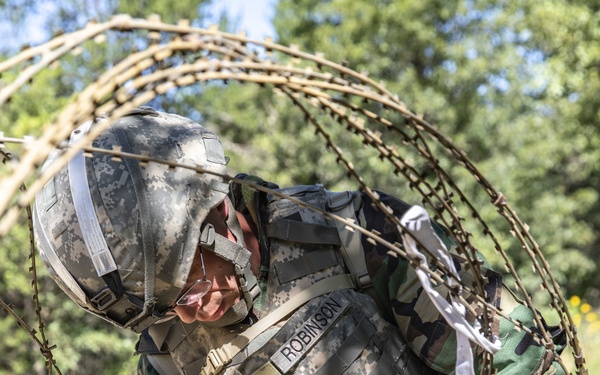 Minnesota National Guardsmen train at CSTX