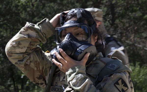Minnesota National Guardsmen train at CSTX