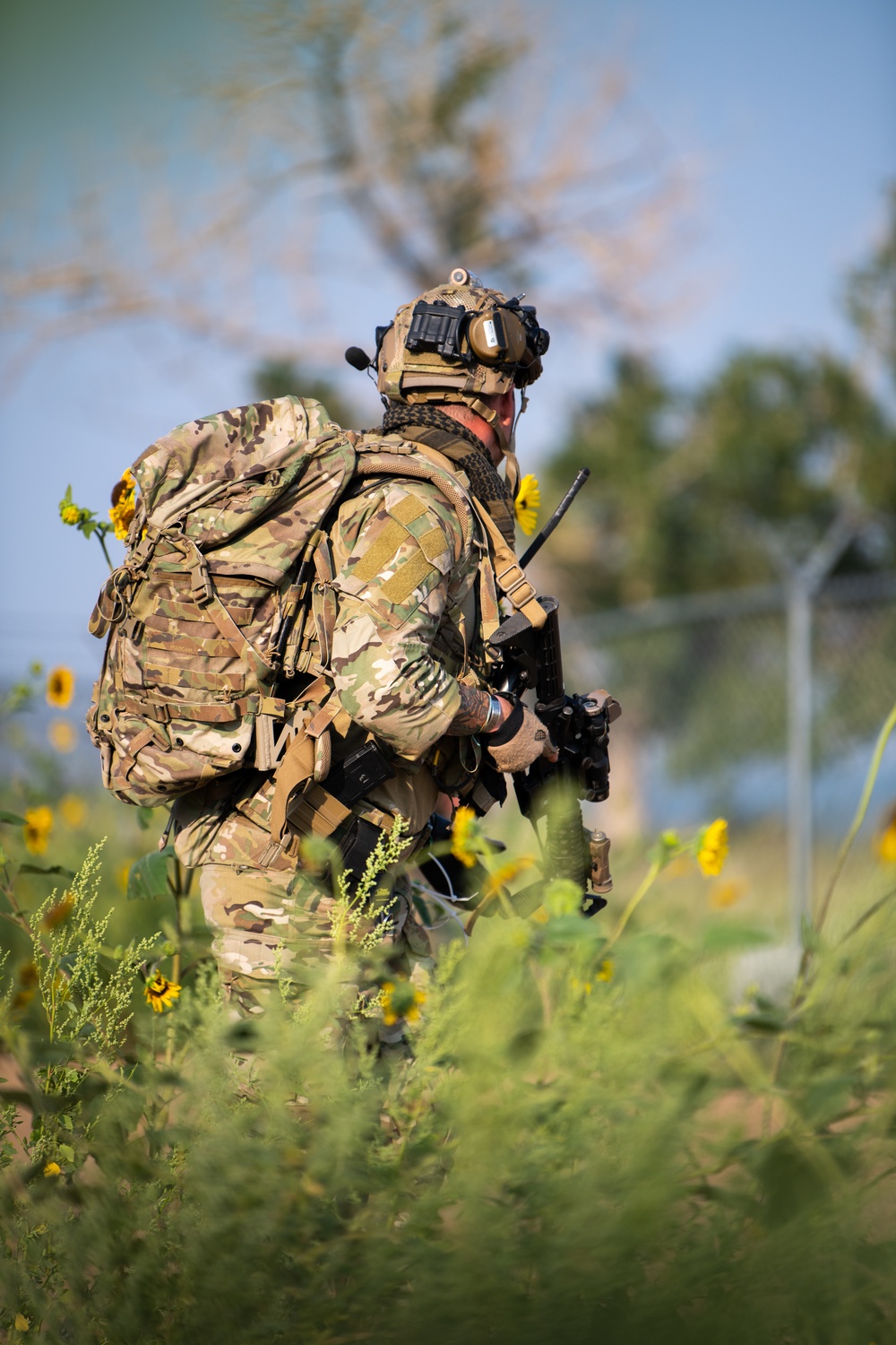 TACP RaPDS Training