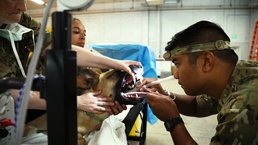 Walking Shield Benefits community and Army Reserve