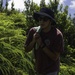 Task Force Koa Moana 21 Reforestation in Ngardmau