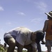 Task Force Koa Moana 21 Reforestation in Ngardmau