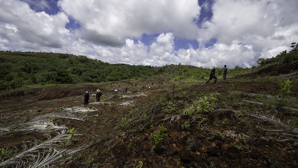Task Force Koa Moana 21 Reforestation in Ngardmau