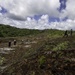 Task Force Koa Moana 21 Reforestation in Ngardmau