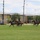 Cavalry tradition drives the Horse Cavalry Detachment