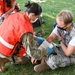 Mass casualty exercise tests Hill's medical response capabilities