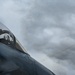 RED FLAG-Alaska 21-3 builds international, joint readiness