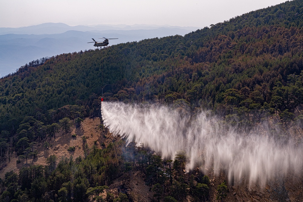 12th CAB supports Turkey's wildfire control efforts