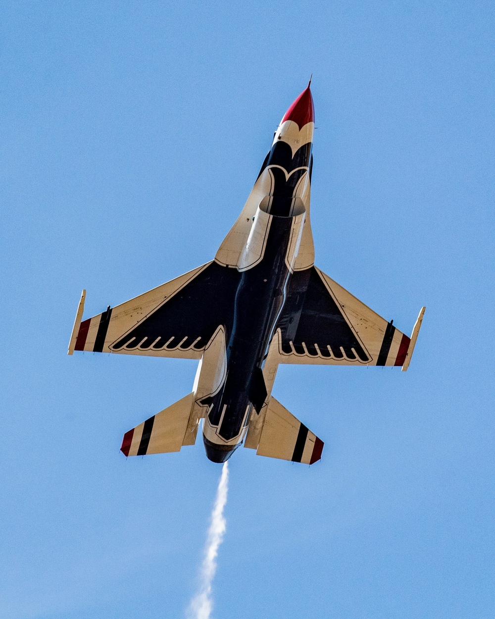 Thunderbirds Take to the Skies at the Oregon International Airshow