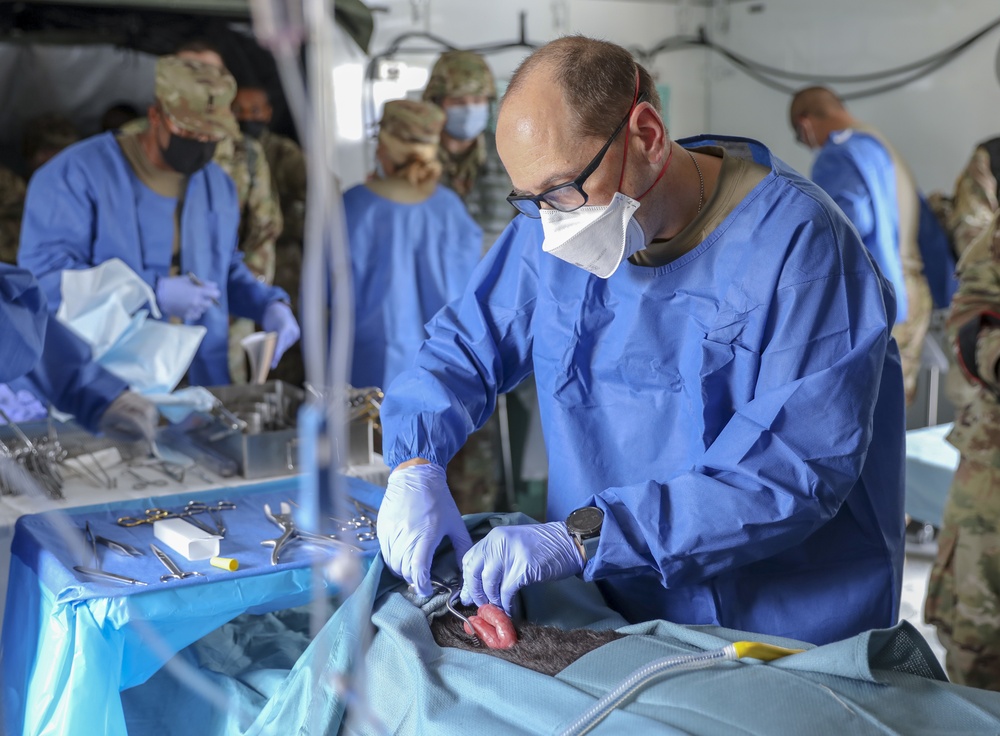 Animatronic Dog Surgery