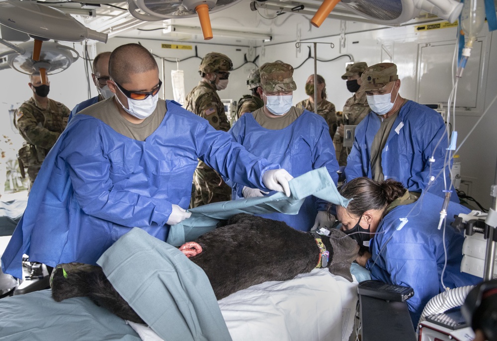 Field Operations are 'Ruff'