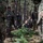 Keeping the peace at CSTX