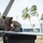 Combat aircraft integrate in Hawaii for exercise Sentry Aloha-21 Three military personnel in camouflage uniforms are performing maintenance work on top of what appears to be a military aircraft wing or fuselage surface. They are wearing hearing protection (ear muffs with green accents) and are crouched down, focused on a specific area of the aircraft. The setting appears to be a tropical airbase, evidenced by palm trees and a hangar structure visible in the background.