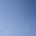 352 Special Operations Forces and Ukrainian Special Operations Forces Conduct a Bilateral Military Free Fall