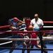 USAG Bavaria Boxing Invitational Championship