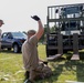 Volk Field Air National Guard Base prepares to welcome Afghans