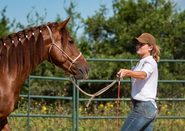 To Train a Mustang; Fulfilling A Childhood Passion