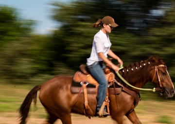 To Train a Mustang; Fulfilling A Childhood Passion