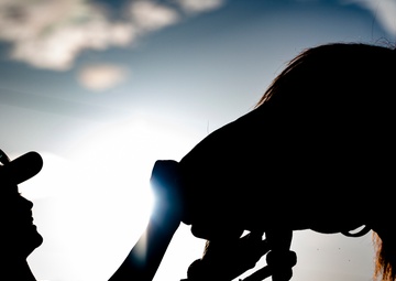 To Train a Mustang; Fulfilling A Childhood Passion