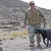 Military Working Dog Training