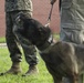 Parris Island Dog Training